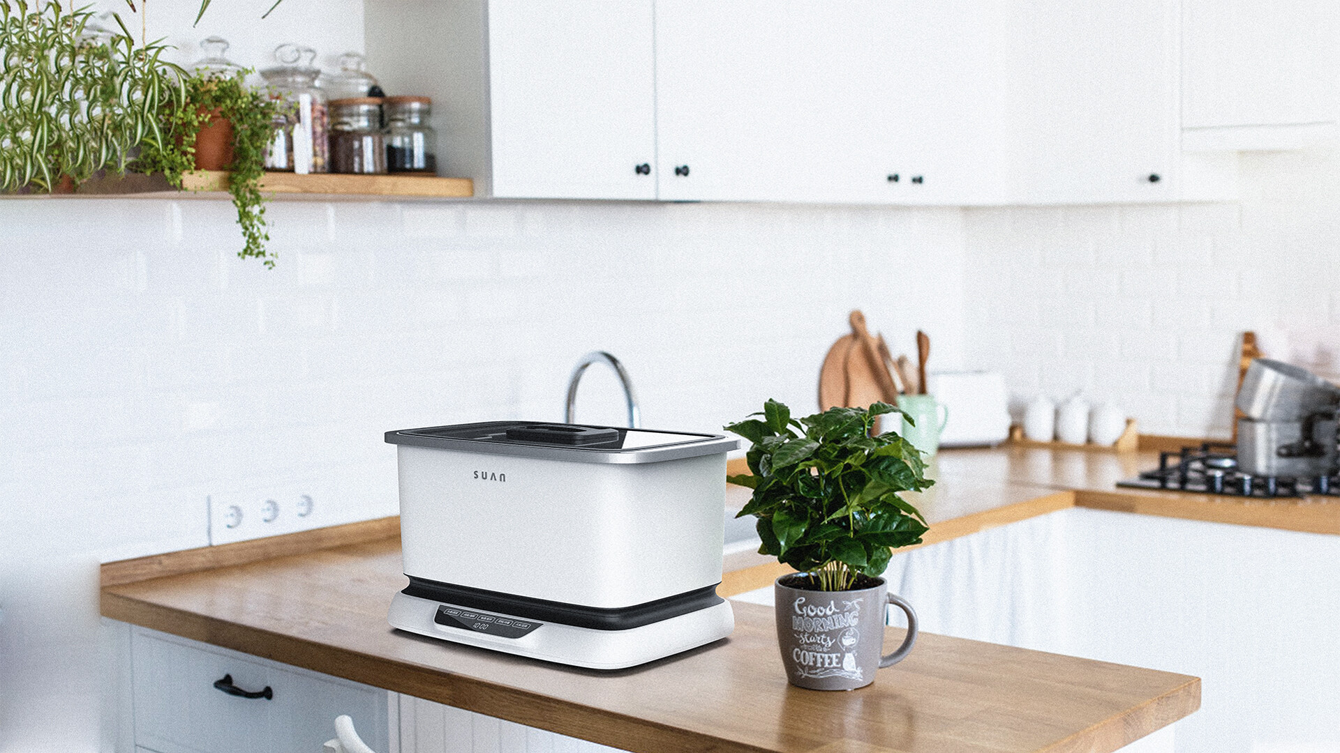 净化机设计-栗安果蔬净化机设计