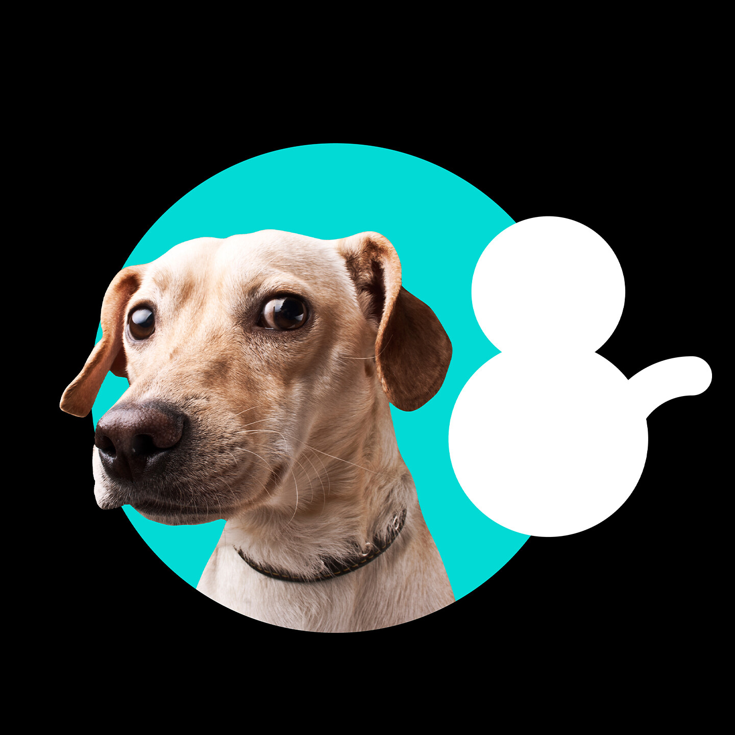 宠物食品包装设计-可优可优宠物产品包装设计