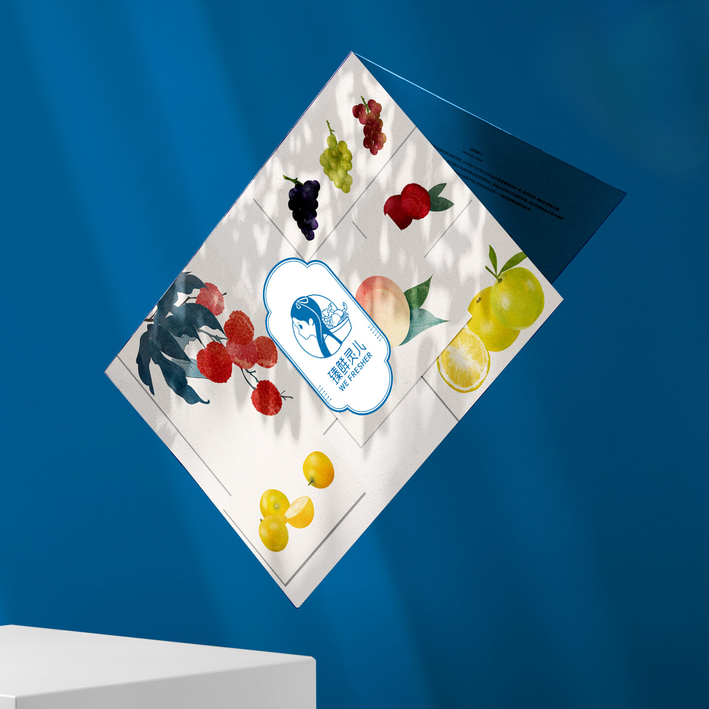 产品迭代特种装备文创IP设计