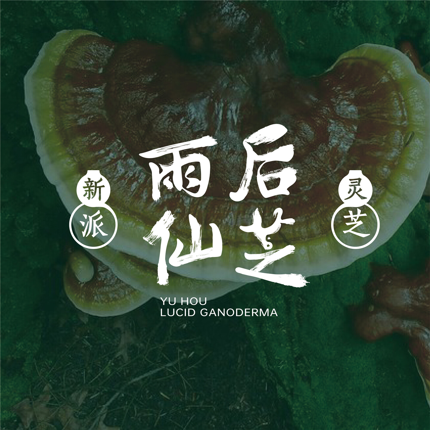 产品迭代特种装备文创IP设计