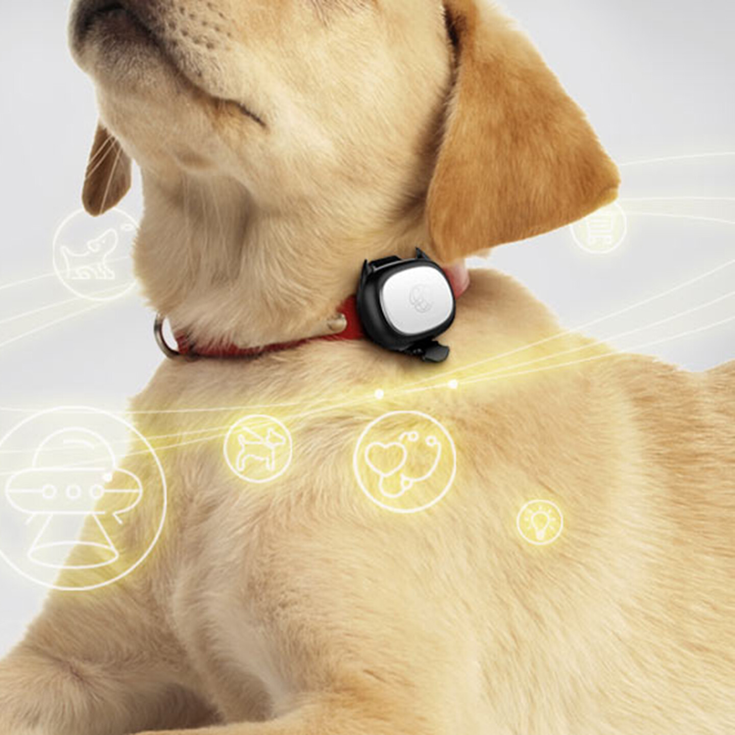 产品迭代特种装备文创IP设计