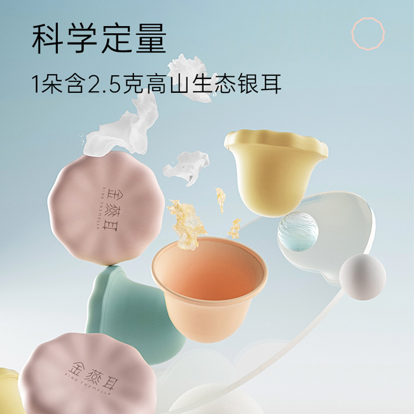 银耳品牌形象设计-金燕耳品牌形象设计