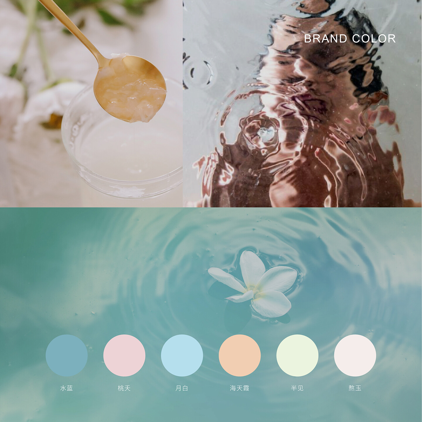 银耳品牌形象设计-金燕耳品牌形象设计