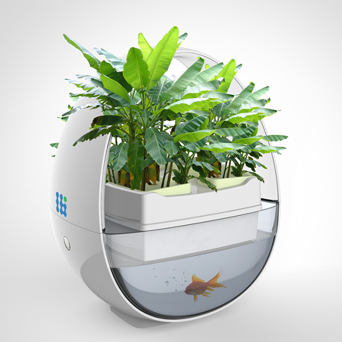 生态鱼缸设计-蓝布生态鱼缸设计