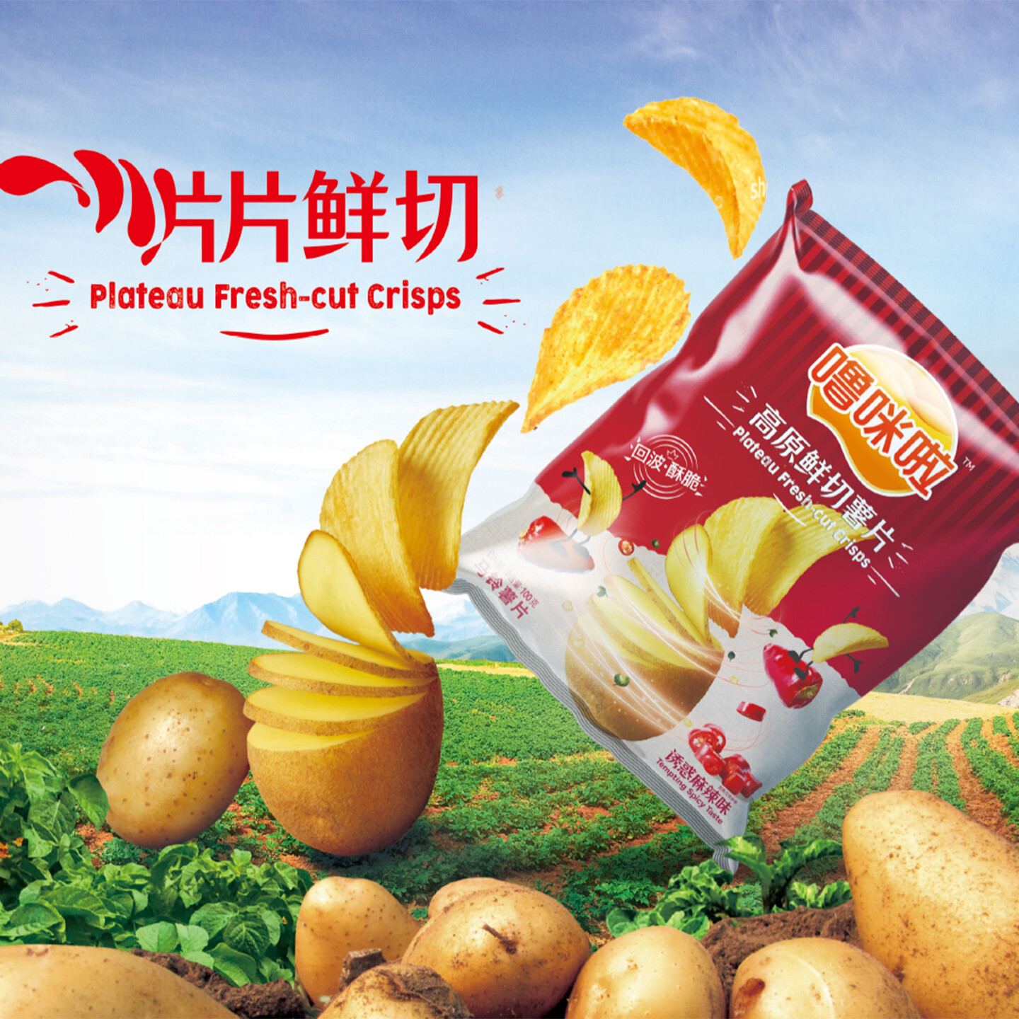 产品迭代特种装备文创IP设计