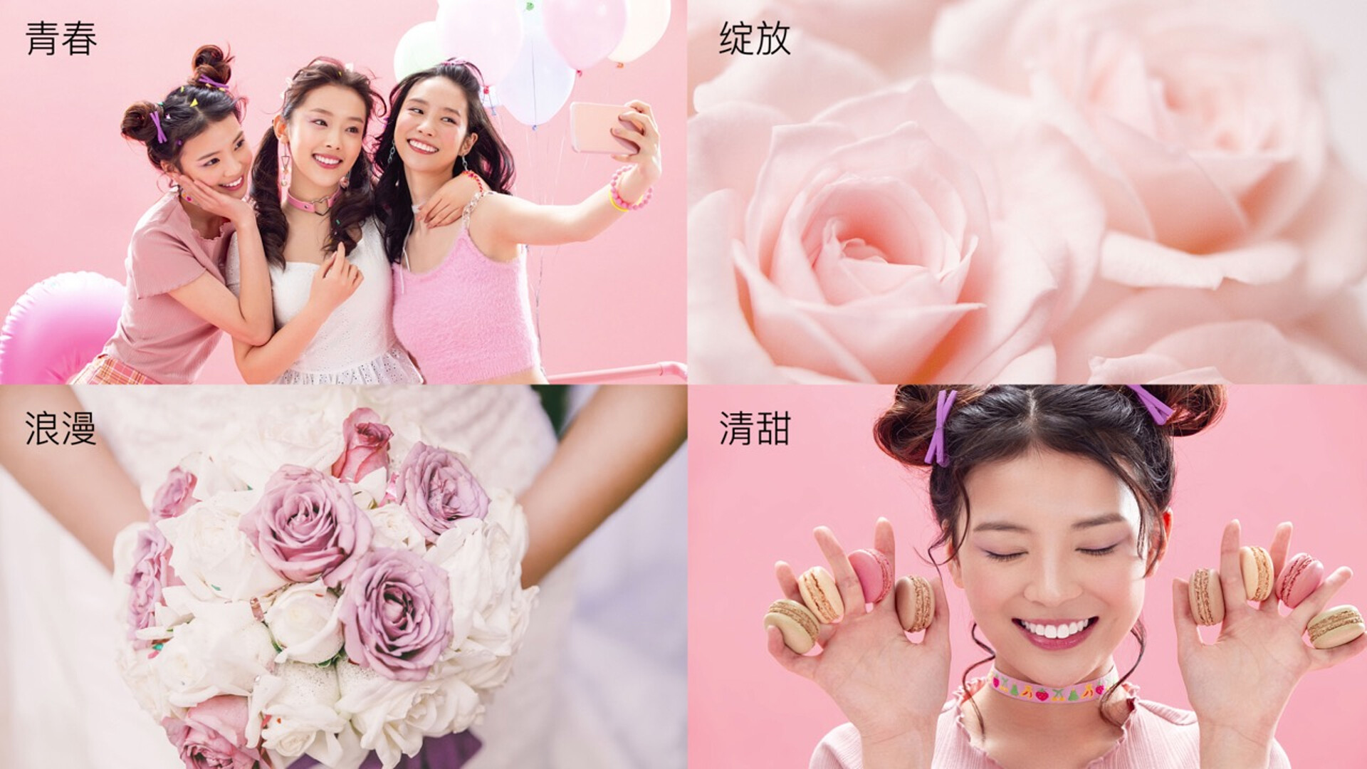 燕之屋包装设计-燕之屋冰糖官燕包装设计