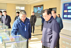 马鞍山市市长袁方一行莅临长征娱乐新材料考察调研